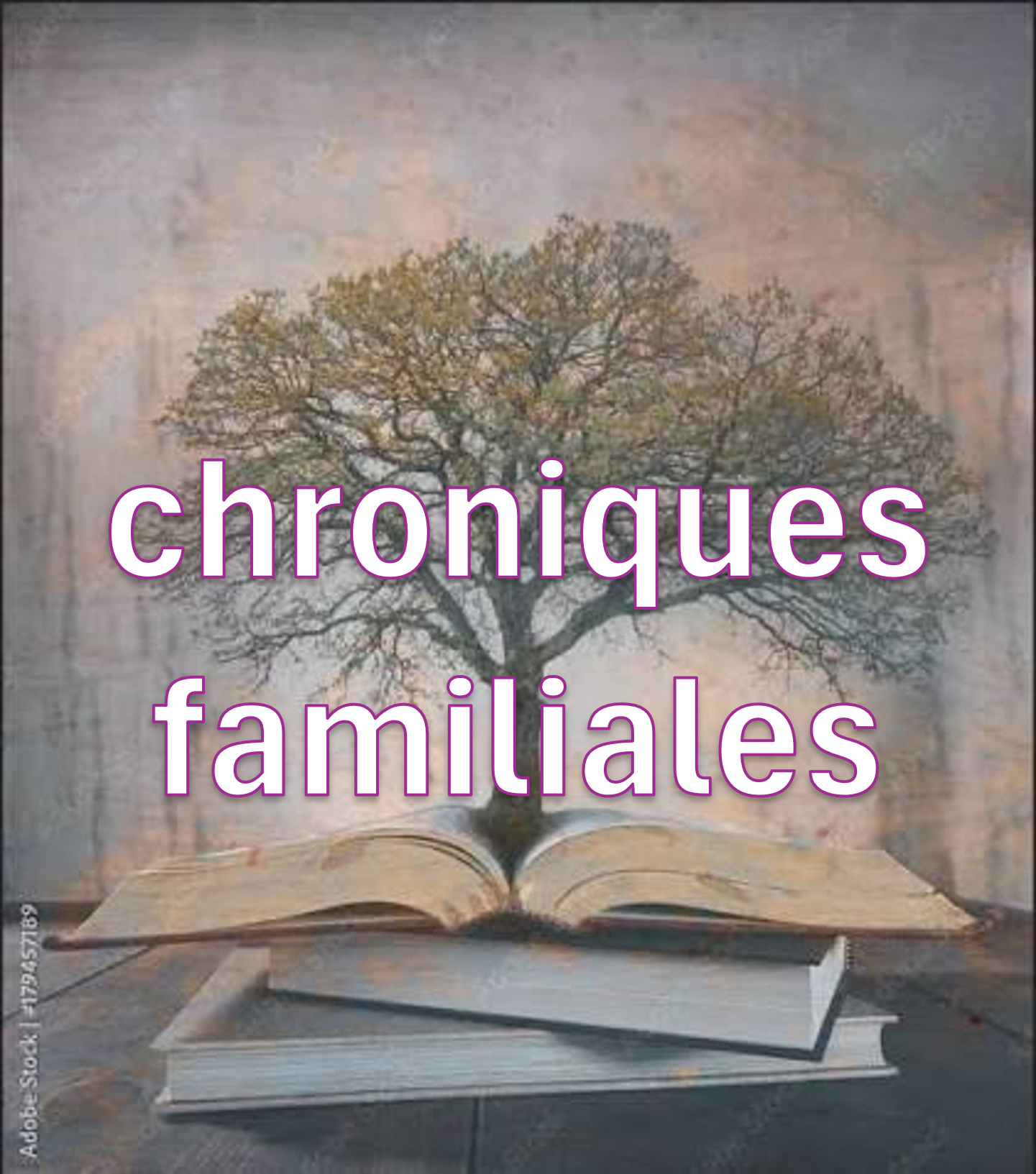chroniques familiales2